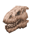 T-Rex Skull