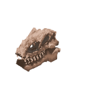 Hybrid Skull