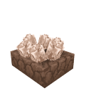 Dino Nest