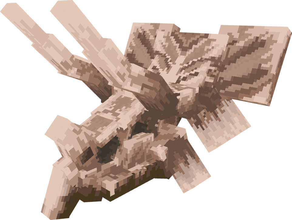 Triceratops Skull