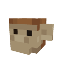 Orange Monkey Pet
