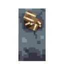 Nautilus Fossil